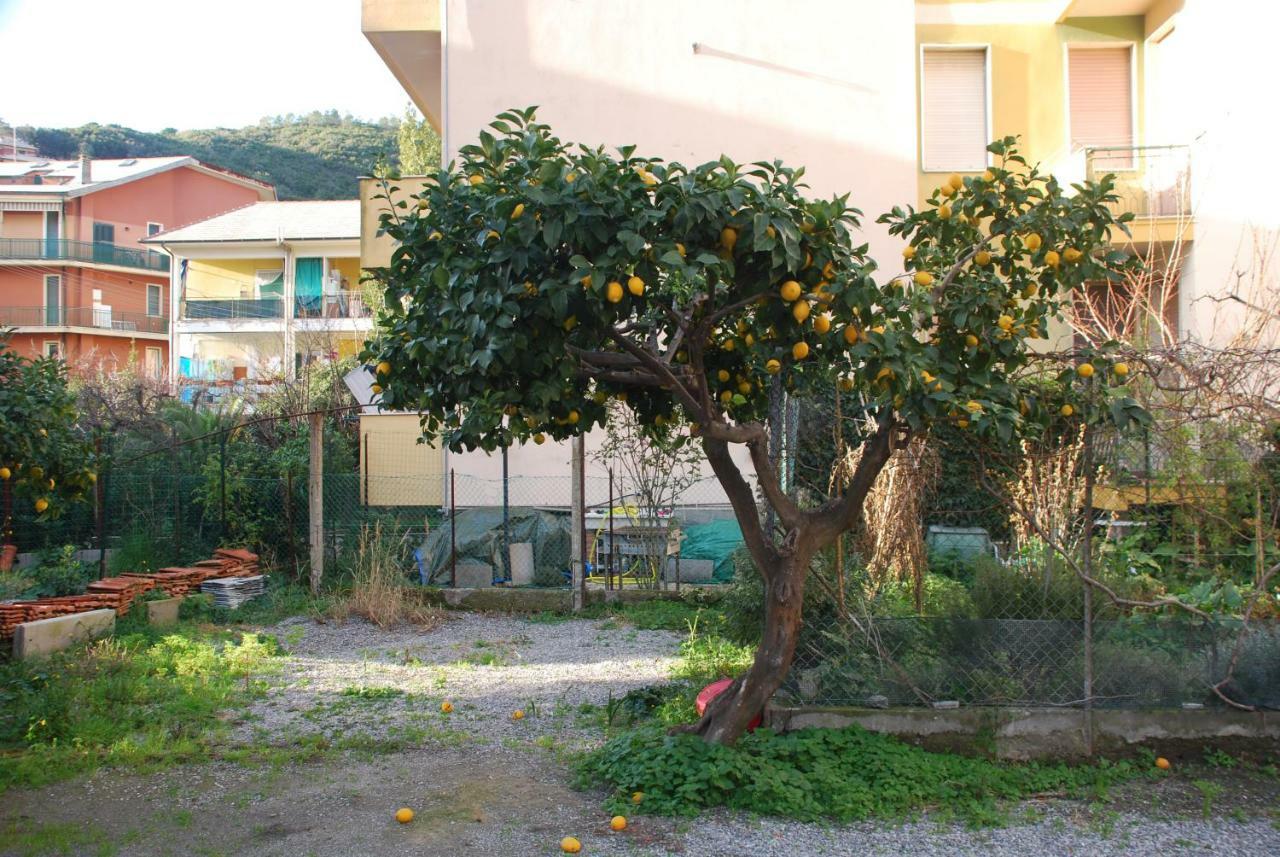 Apartamento Palmaria Deiva Marina Exterior foto